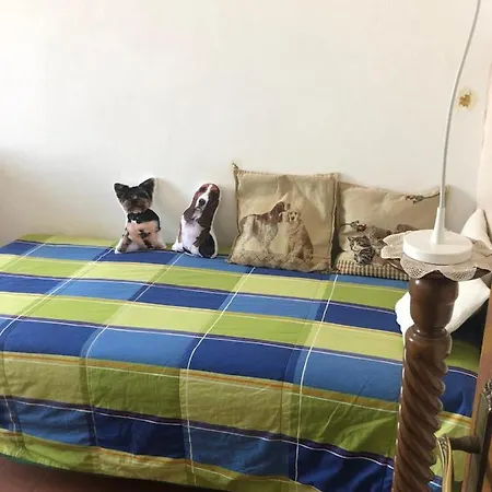 Solo Traveller Bedroom In Homestays Center 民宿