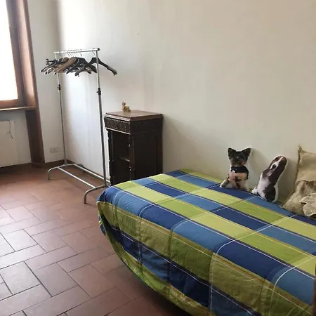Solo Traveller Bedroom In Homestays Center *